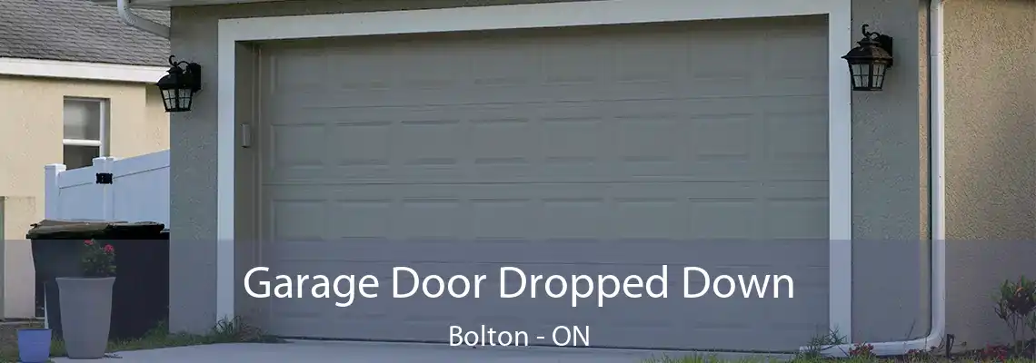 Garage Door Dropped Down Bolton - ON