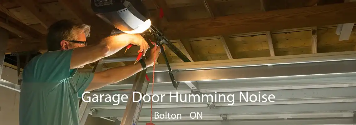 Garage Door Humming Noise Bolton - ON