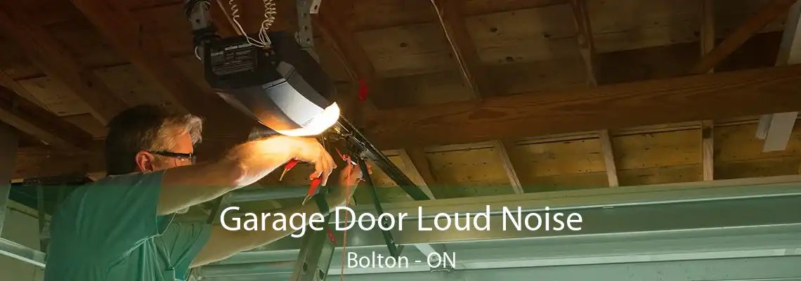 Garage Door Loud Noise Bolton - ON