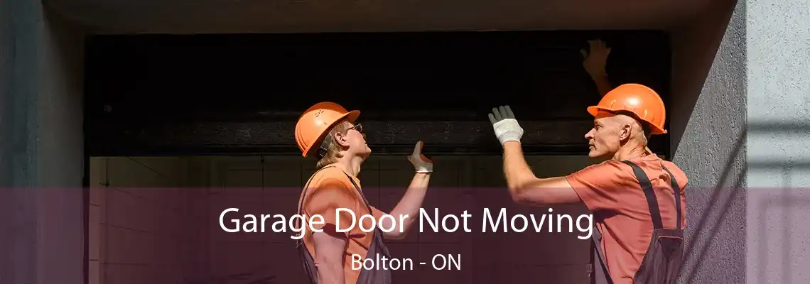 Garage Door Not Moving Bolton - ON