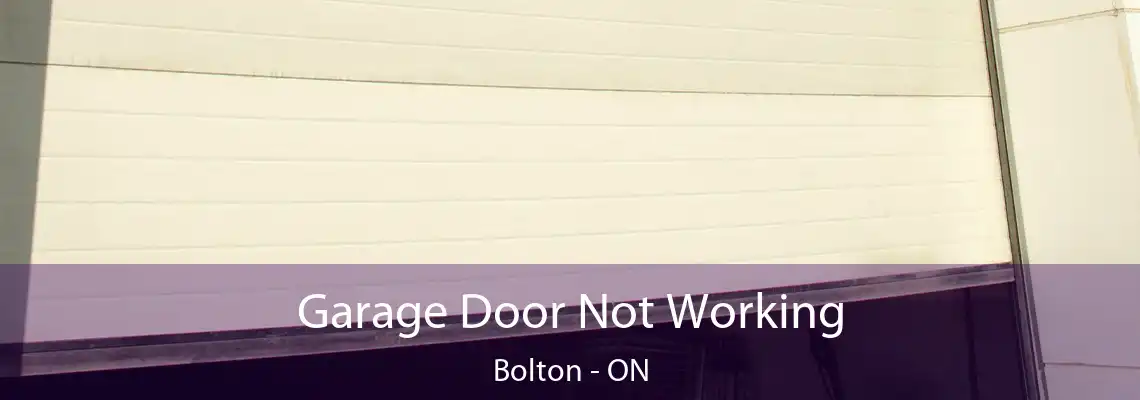 Garage Door Not Working Bolton - ON
