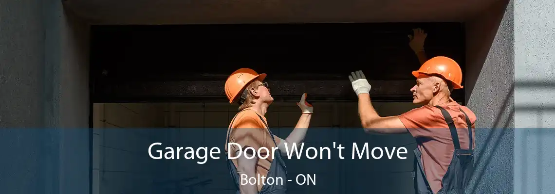 Garage Door Won't Move Bolton - ON