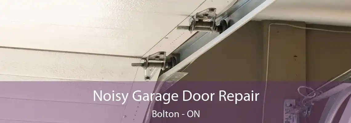 Noisy Garage Door Repair Bolton - ON